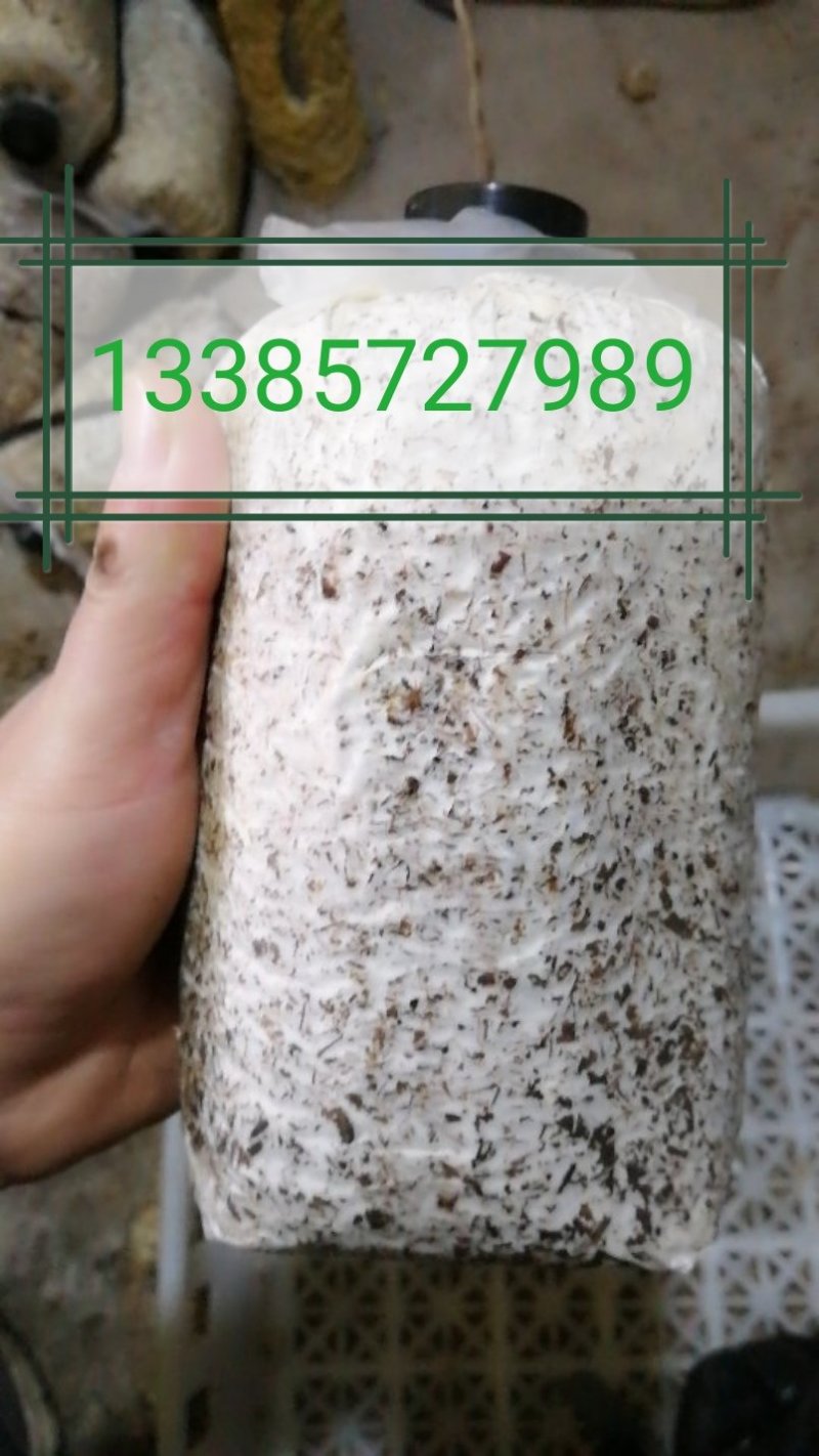 黑皮鸡枞菌包