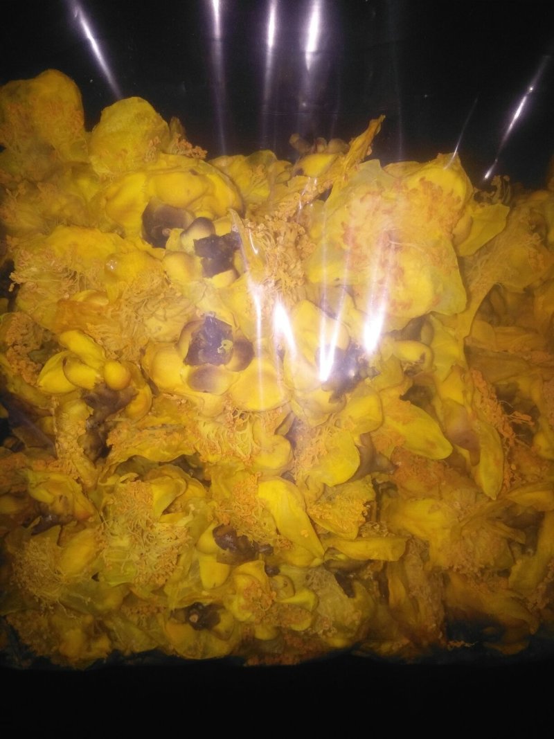 来自广西防城港金花茶，深造加工烘干花每斤300元