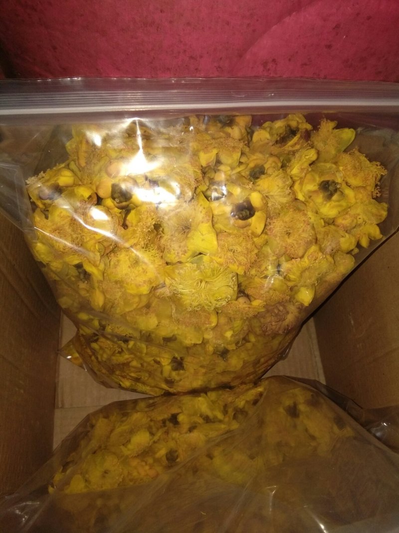 来自广西防城港金花茶，深造加工烘干花每斤300元