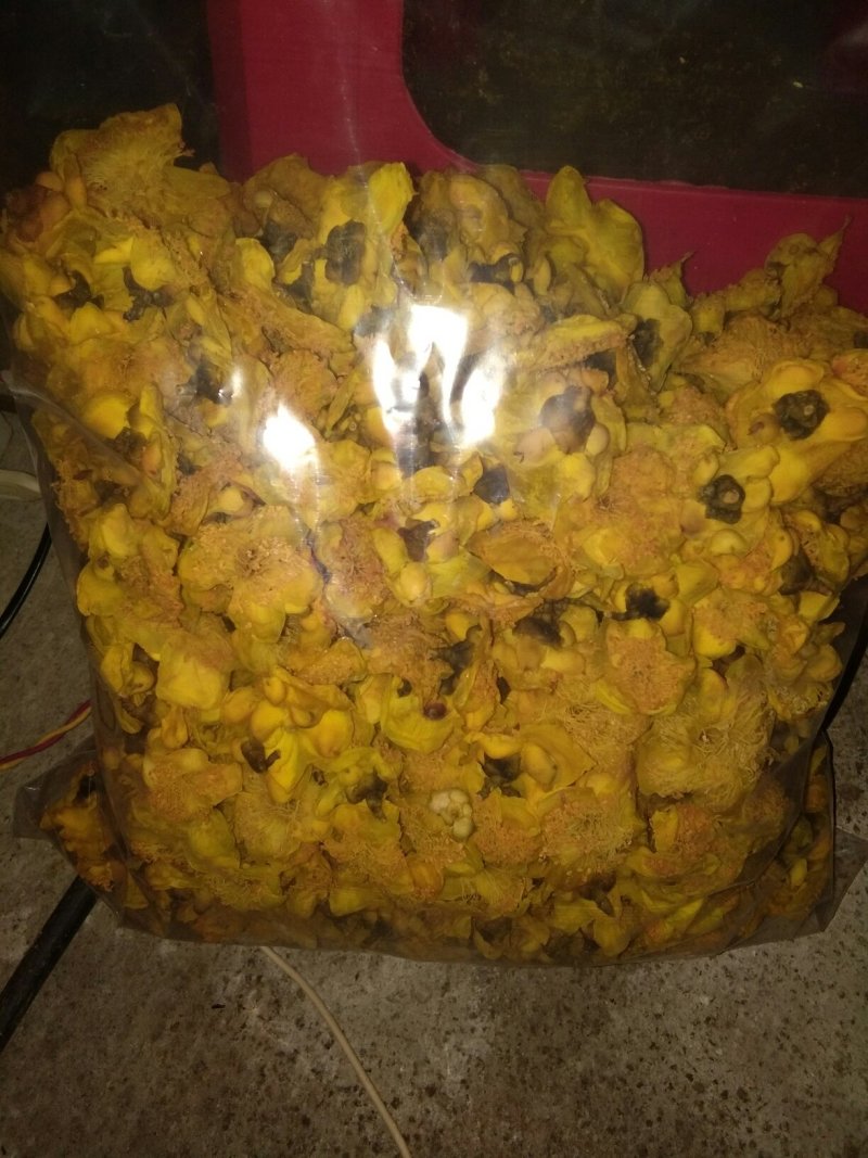 来自广西防城港金花茶，深造加工烘干花每斤300元