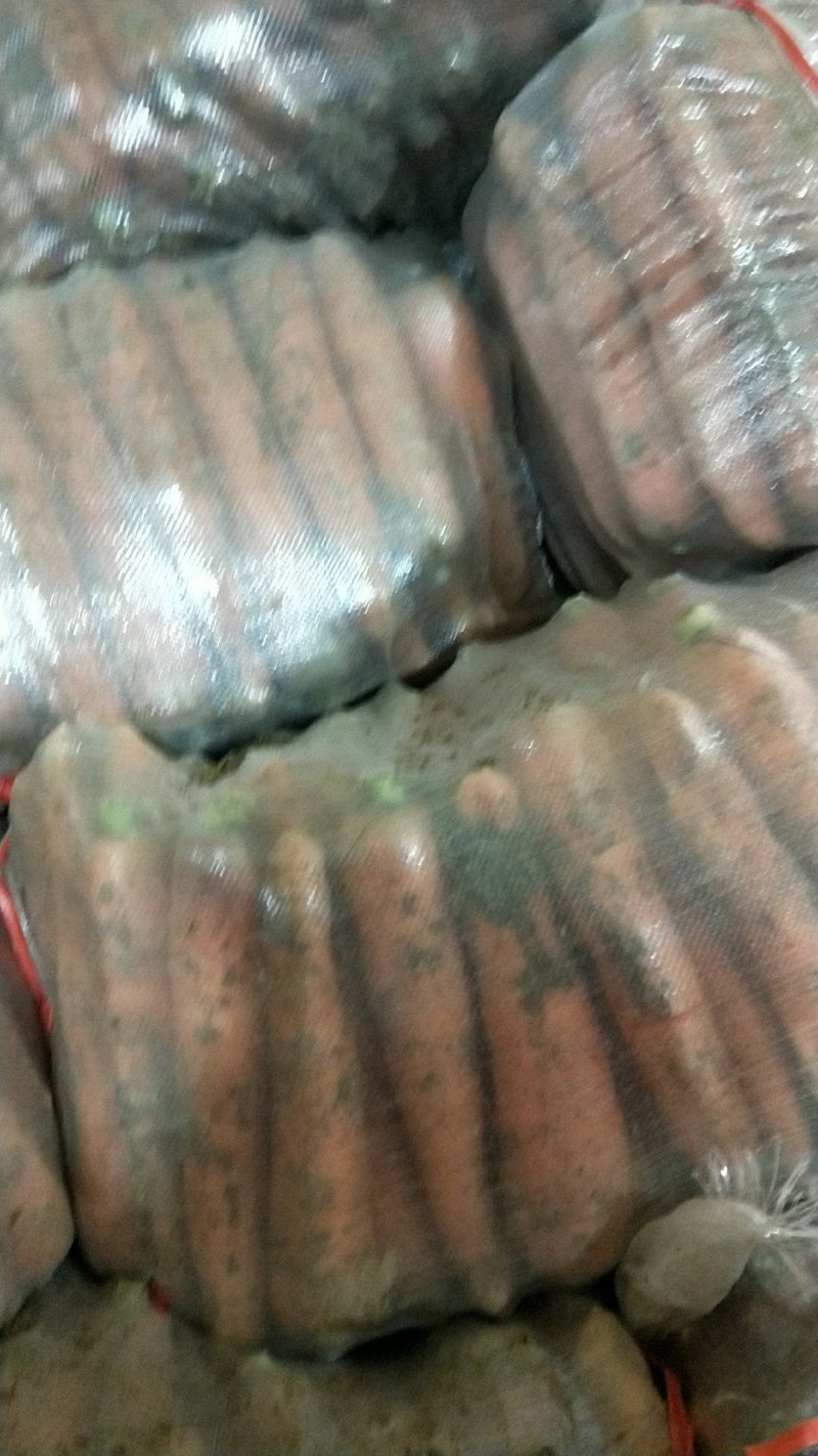 冷库萝卜