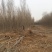 基地供应各规格白蜡，价格优惠，欢迎实地考察