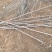 基地供应各规格白蜡，价格优惠，欢迎实地考察