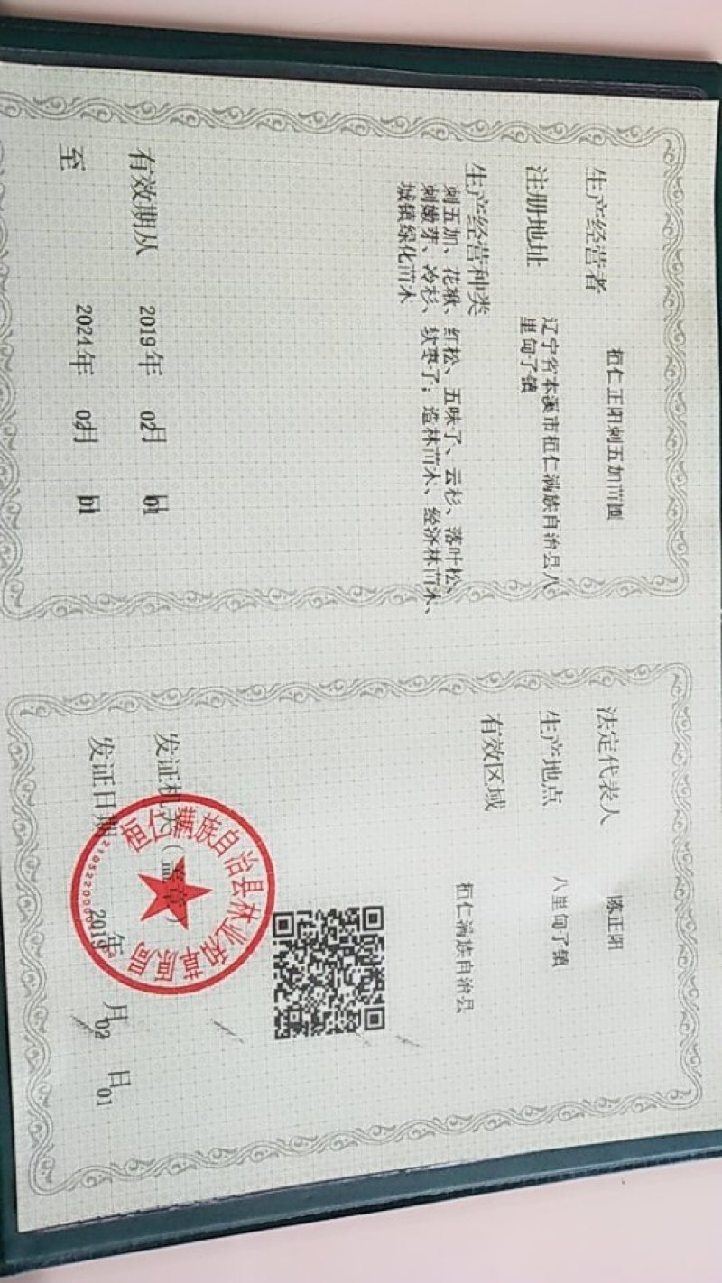 出售刺嫩芽种子又名乌龙头种子，刺脑包刺老包种子