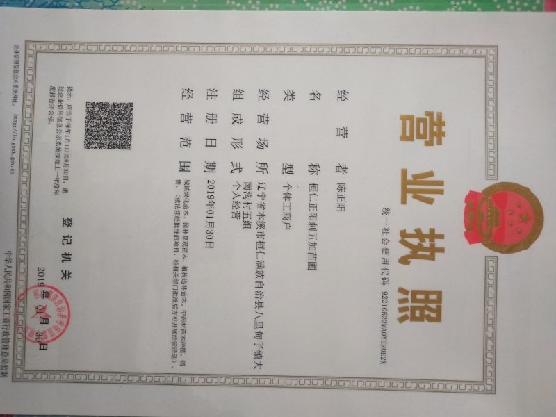 刺五加苗种苗繁育基地自产自销，价格实惠品质优良