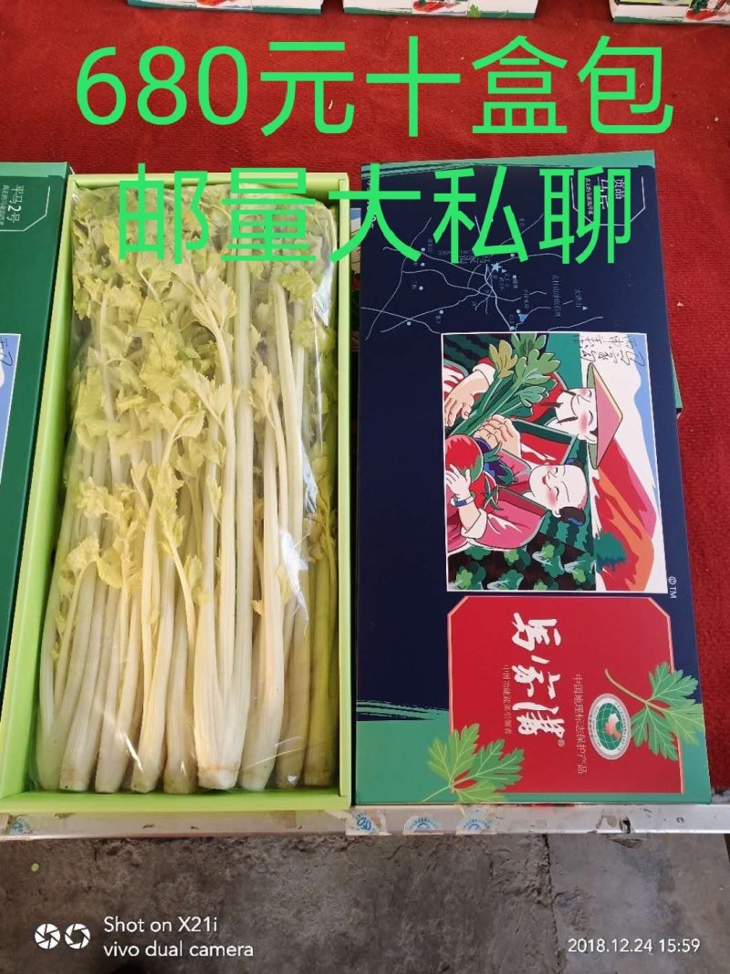 马家沟牌芹菜招各省市代理。区域保护性强