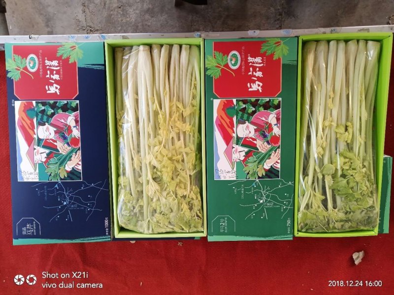 马家沟牌芹菜招各省市代理。区域保护性强
