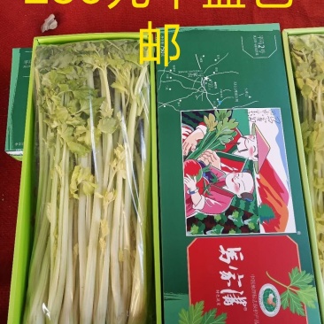 马家沟牌芹菜招各省市代理。区域保护性强