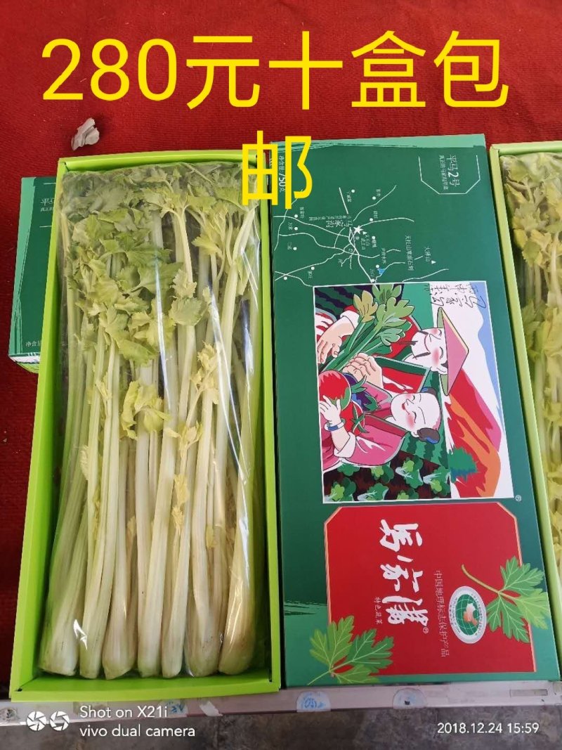 马家沟牌芹菜招各省市代理。区域保护性强