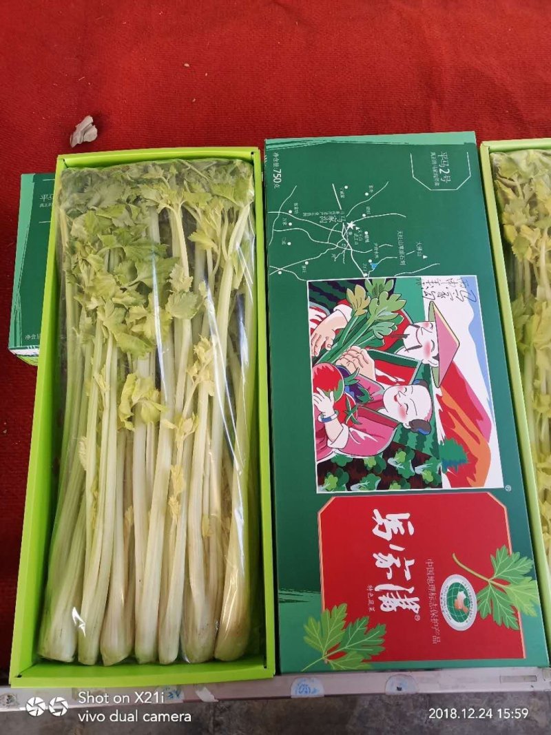 马家沟牌芹菜招各省市代理。区域保护性强