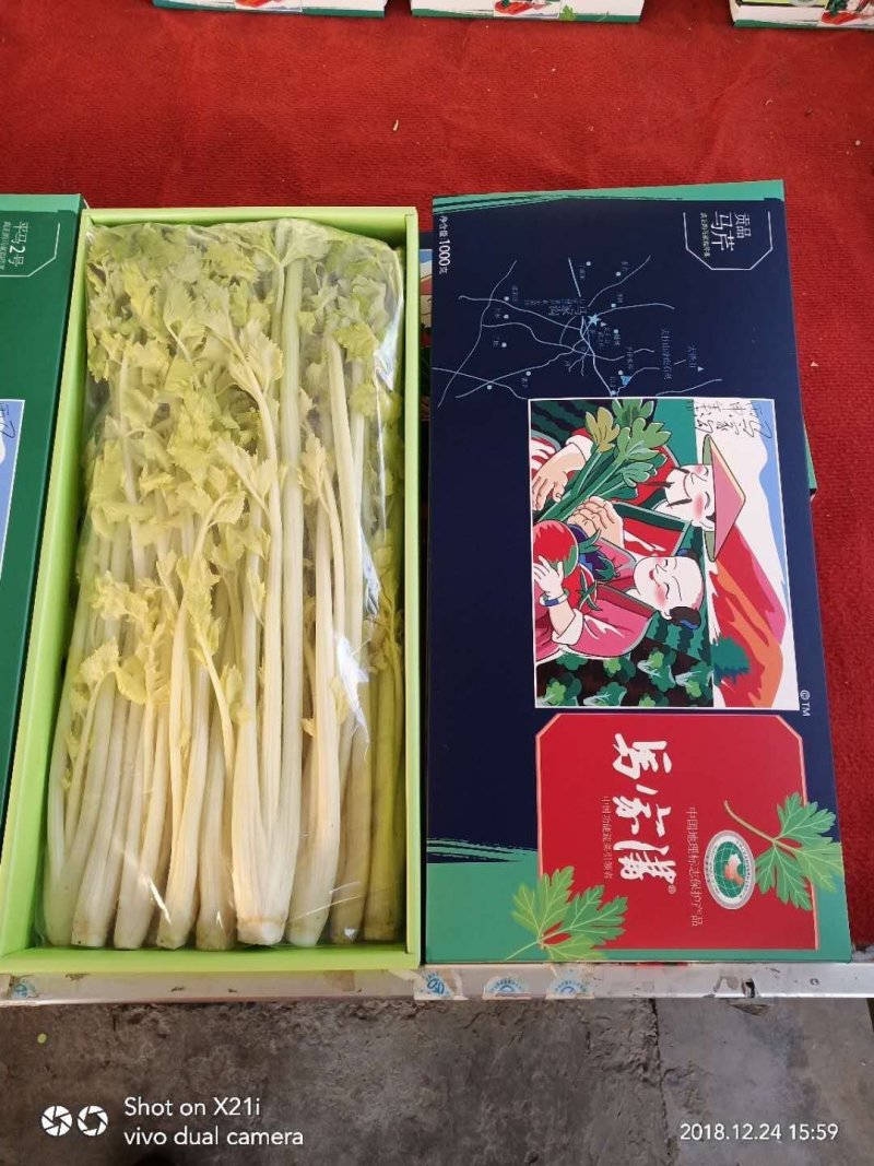 马家沟牌芹菜招各省市代理。区域保护性强