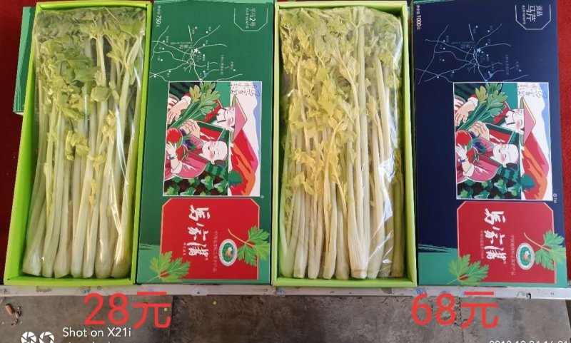 马家沟牌芹菜招各省市代理。区域保护性强
