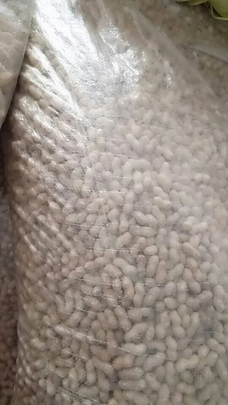 小花生，颗粒饱满，色译亮丽