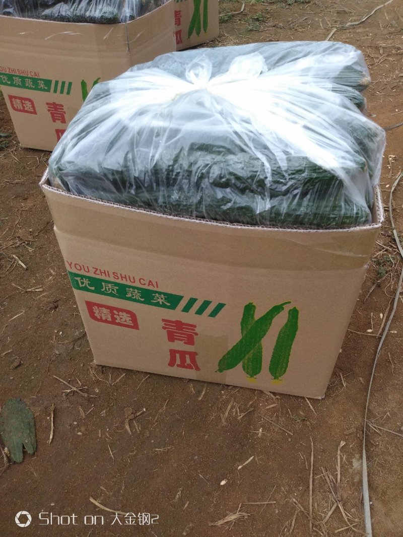 天气好各农产品现己大量上市欢迎各老板来洽商选购