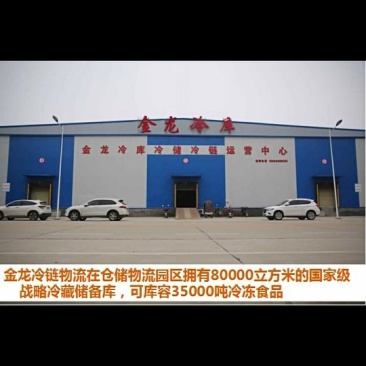 标准化冷库出租！有冷冻库和保鲜库！可容纳三万吨