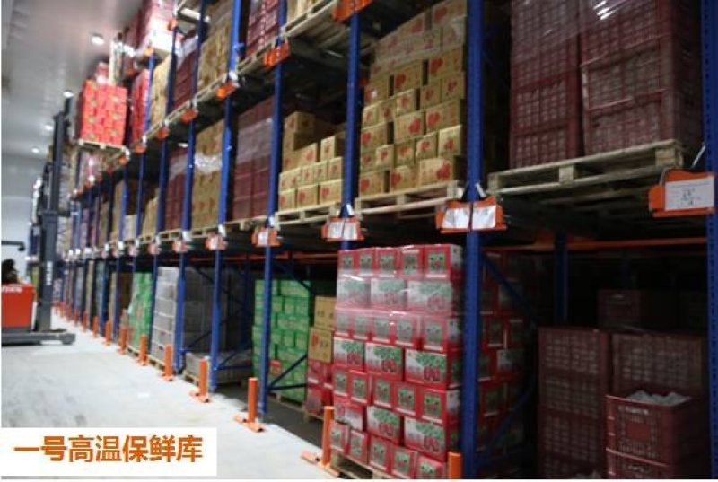 标准化冷库出租！有冷冻库和保鲜库！可容纳三万吨