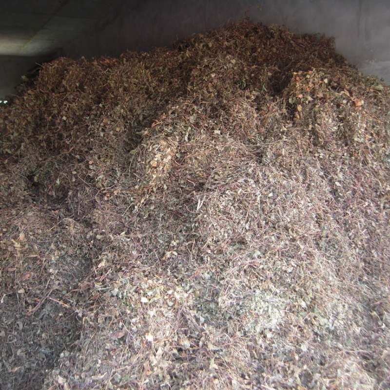 野生小叶金钱草（过路黄）统货，四川产地直发，保证质量