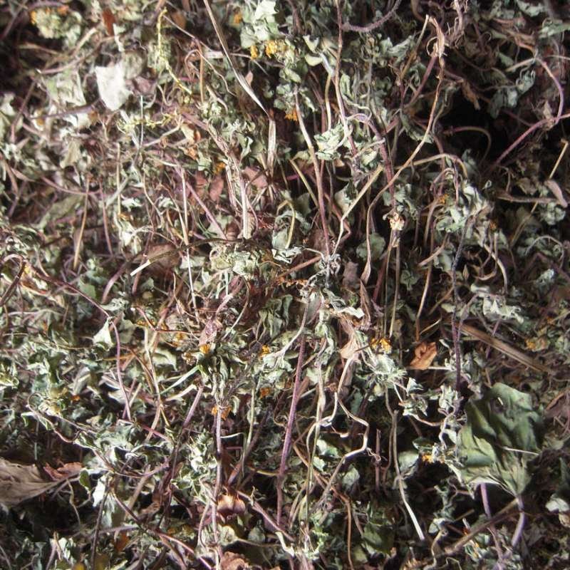 野生小叶金钱草（过路黄）统货，四川产地直发，保证质量