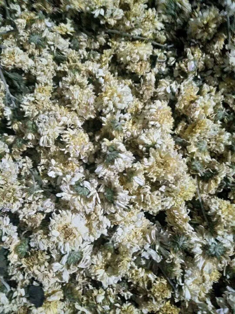 铁棍山药，怀菊花