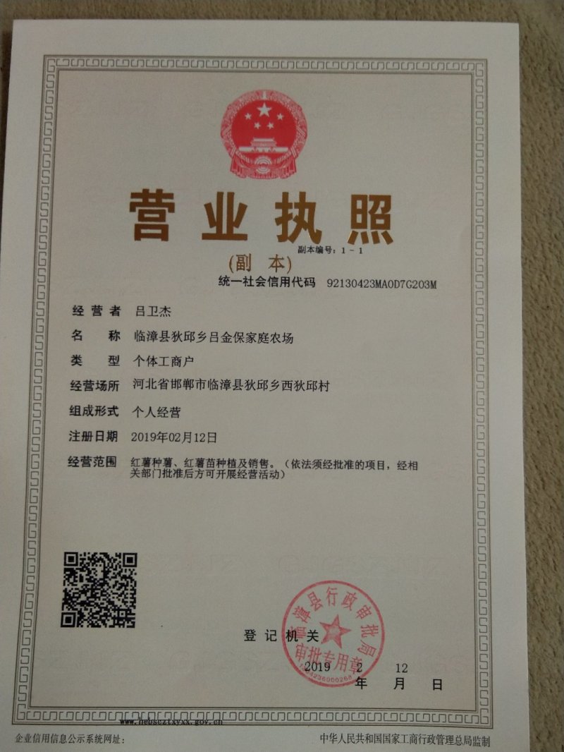 秦薯5号薯苗，基地直采直发，保质保量