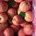 山东红富士苹果产地直销常年供应新鲜上市全国发货