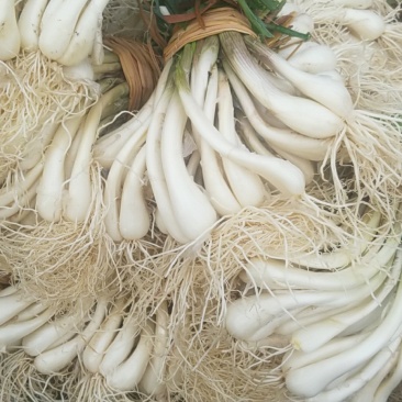 荞头