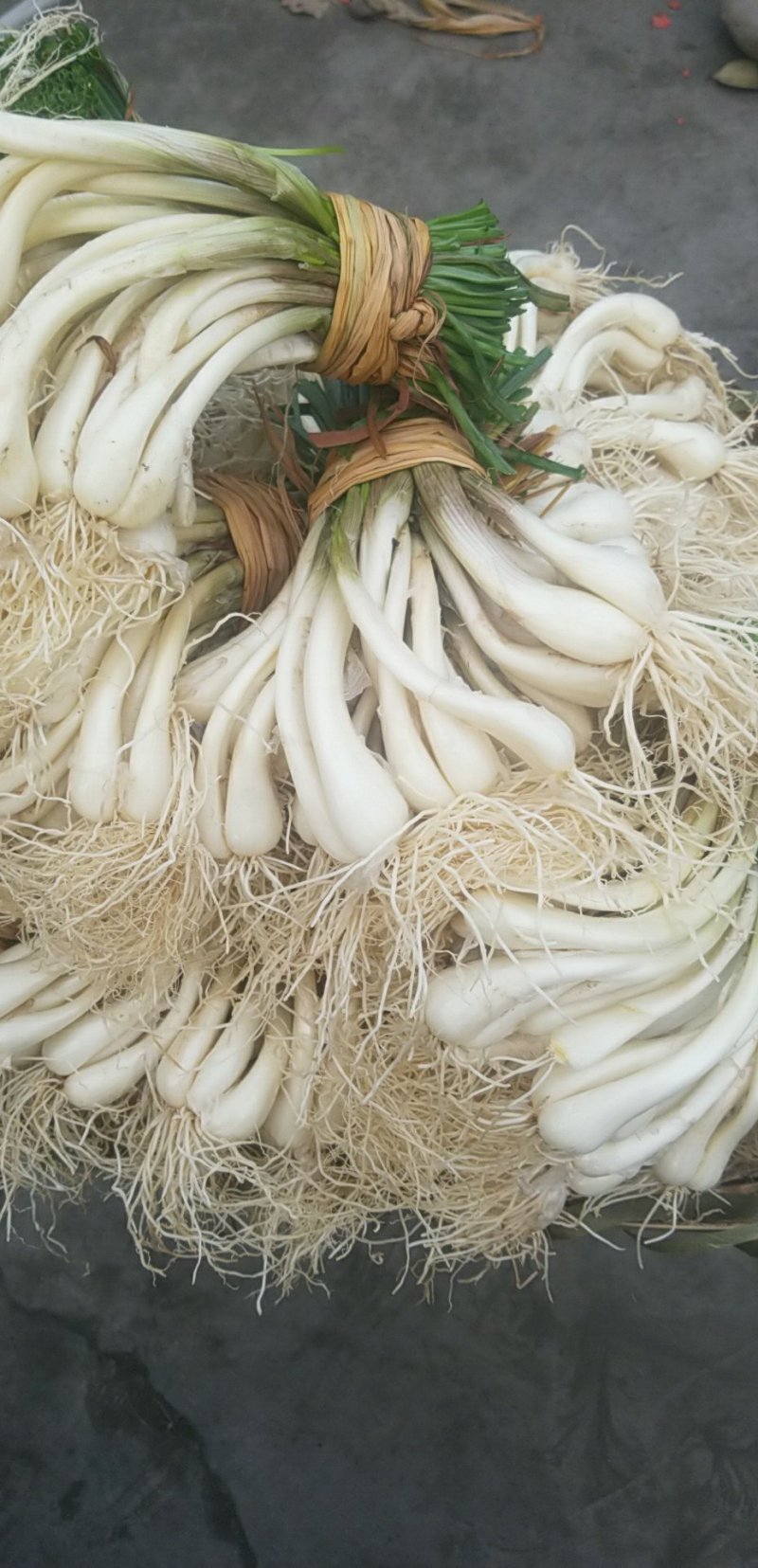 荞头