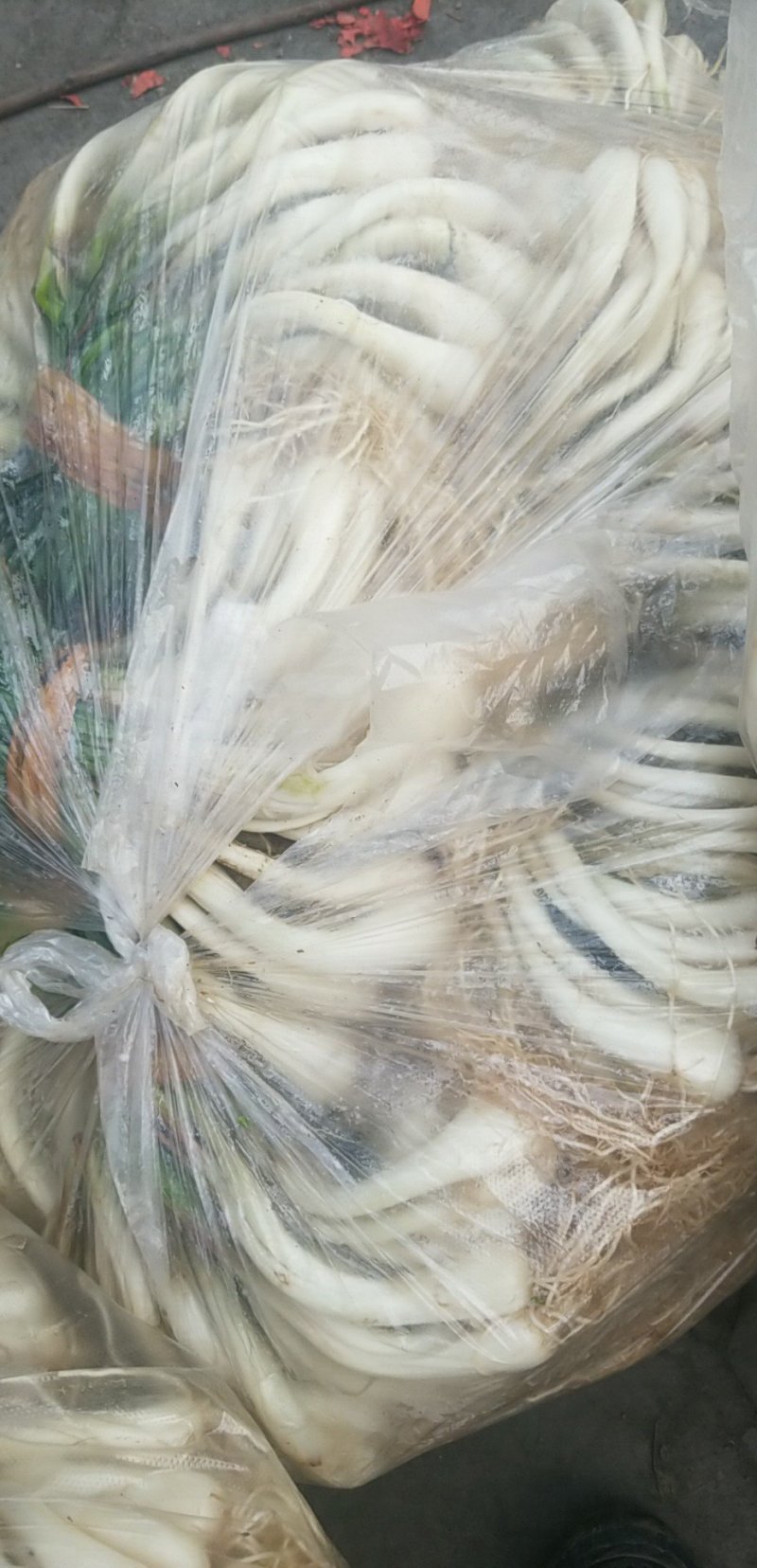 荞头