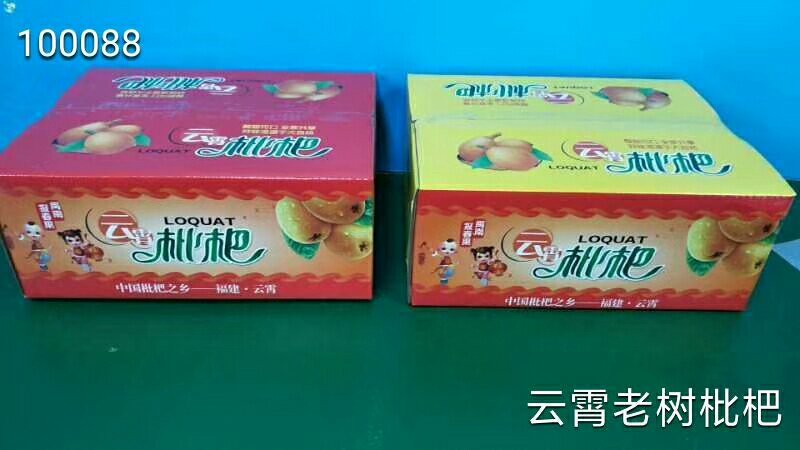 云霄枇杷