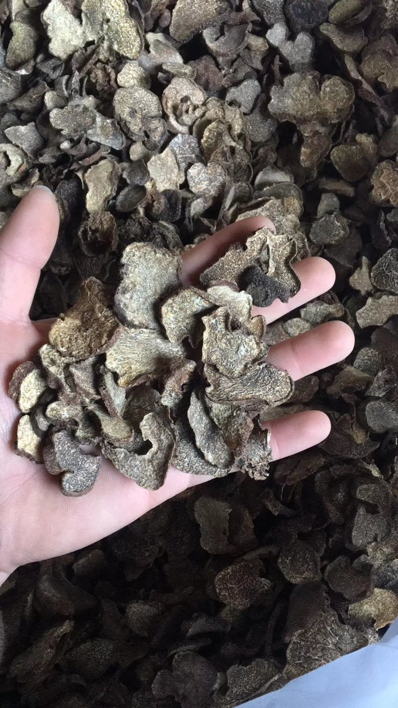 云南野生黑松露干片新鲜黑松露野生菌各种规格量大从优