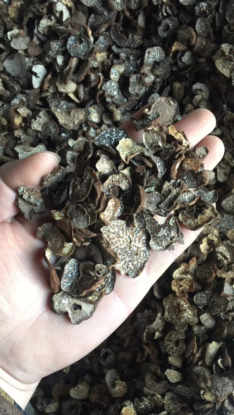 云南野生黑松露干片新鲜黑松露野生菌各种规格量大从优