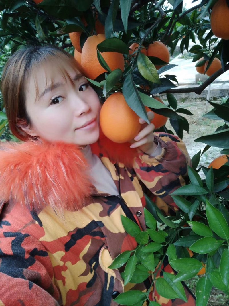 长虹脐橙产地直销看货采摘量大从优商超专供