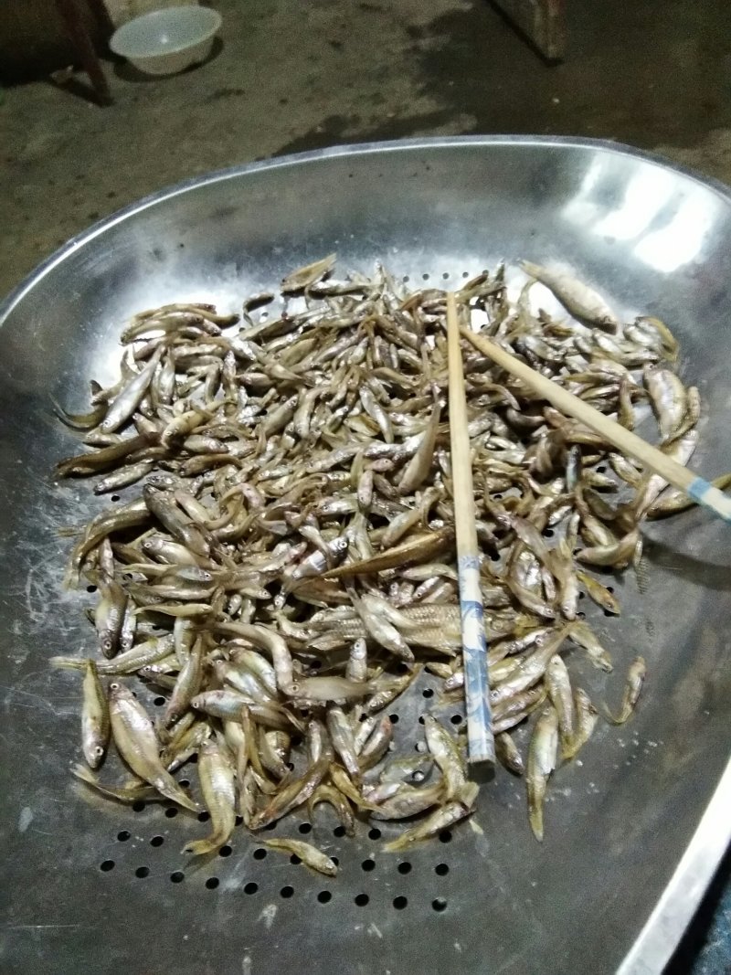 麦惠鱼鱼干
