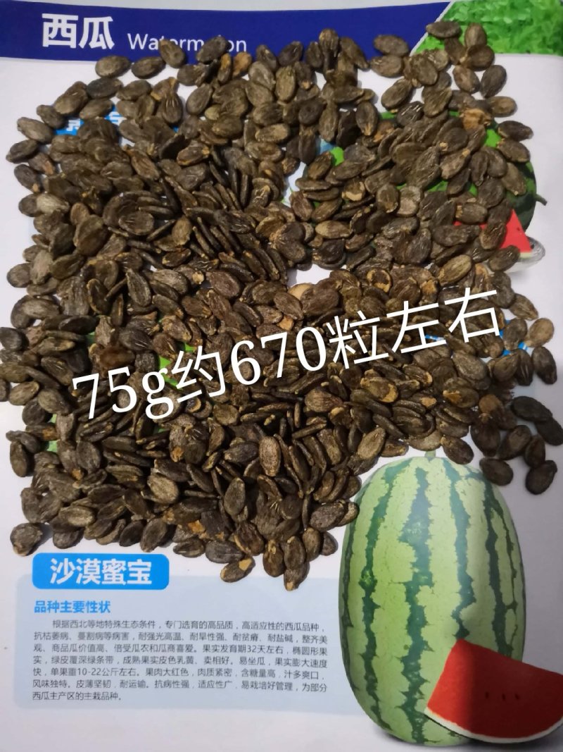 景丰沙漠蜜宝西瓜种子抗病耐旱丰产甜度高