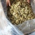黄山贡菊，七月菊，北京菊，金丝皇菊，新货上市，量大批发