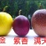 紫香，百香果苗20～30cm高，种植六个月结果