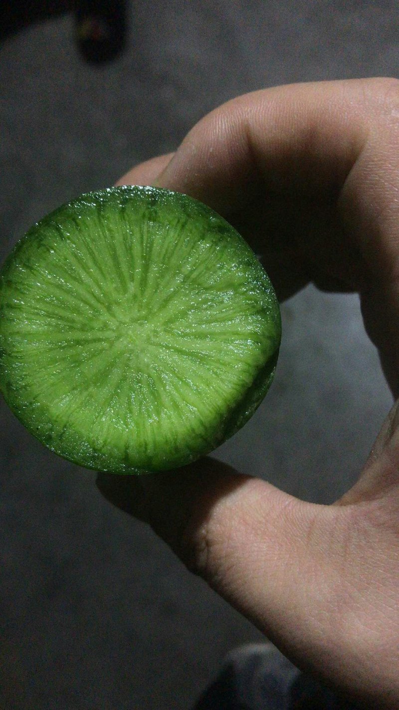 青萝卜，潍县青萝卜精品，脆甜多汁，基地直供一手货源