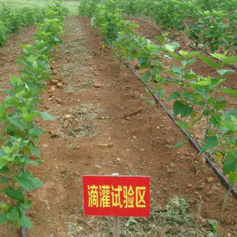 滴灌管