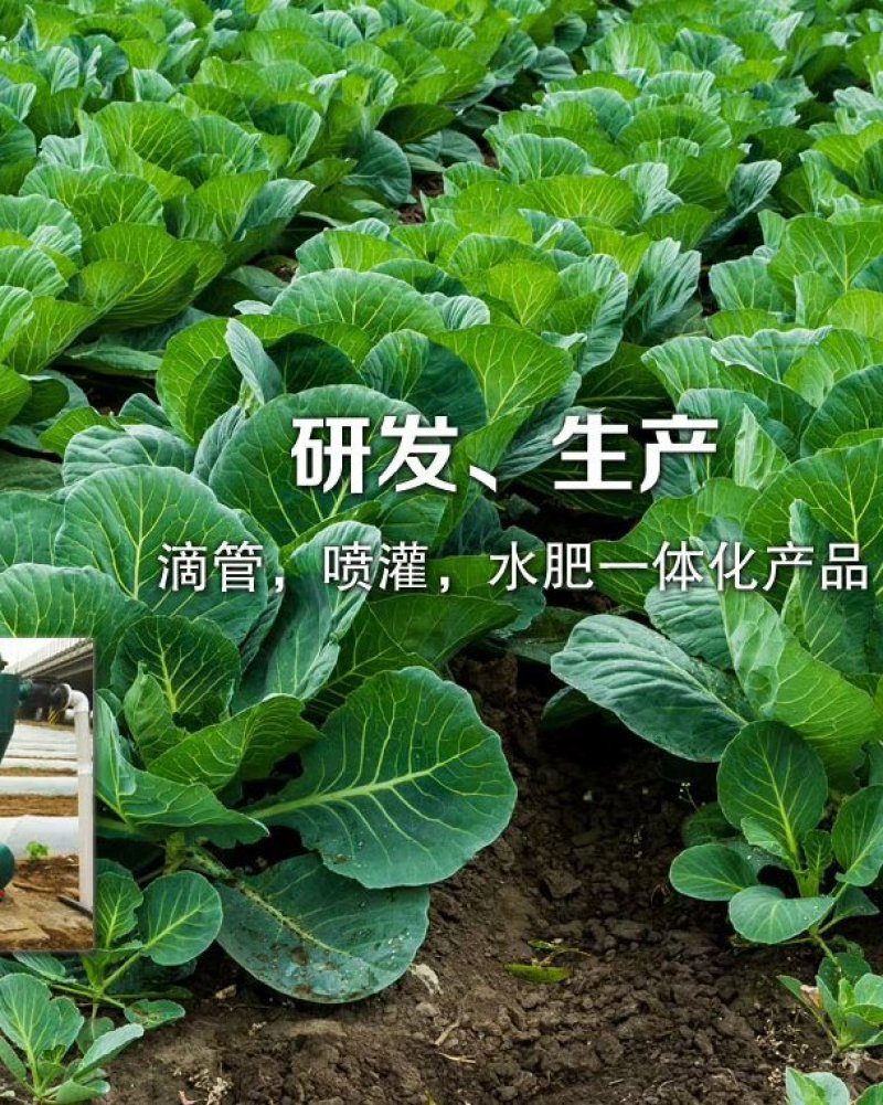 滴灌带