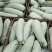 玉姑甜瓜，价格便宜，质量好货源充足
