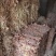 四川野生夏枯草带球全草好货顺草捆把,茶饮药用两相宜