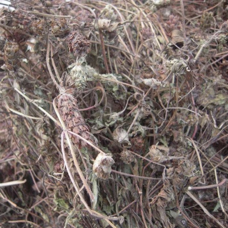 四川野生夏枯草带球全草好货顺草捆把，茶饮药用两相宜