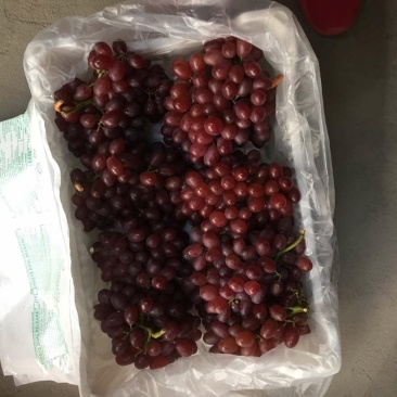 老板们好货在等你呦，等你来发财呦