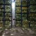 白菜4~6斤鸡腿净菜个头均匀！