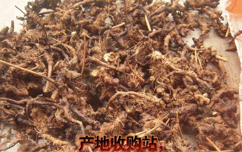 淫羊藿头，淫羊藿根(羊角叶、仙灵脾，含量好，泡洒等用)