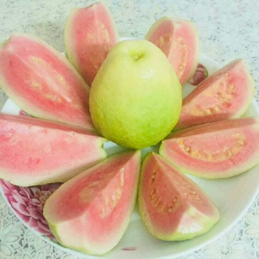 红心芭乐番石榴，红色好看又好吃，果脆甜😍😍