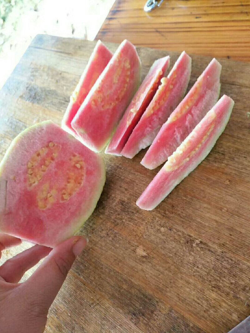 红心芭乐番石榴，红色好看又好吃，果脆甜😍😍