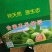 红心芭乐番石榴苗
