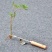 拔草神器起根器拔草器家用铁铲挖草野菜神器松土园艺起根器移