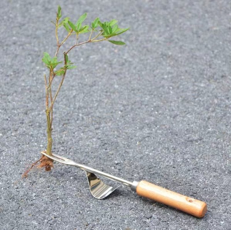 拔草神器起根器拔草器家用铁铲挖草野菜神器松土园艺起根器移